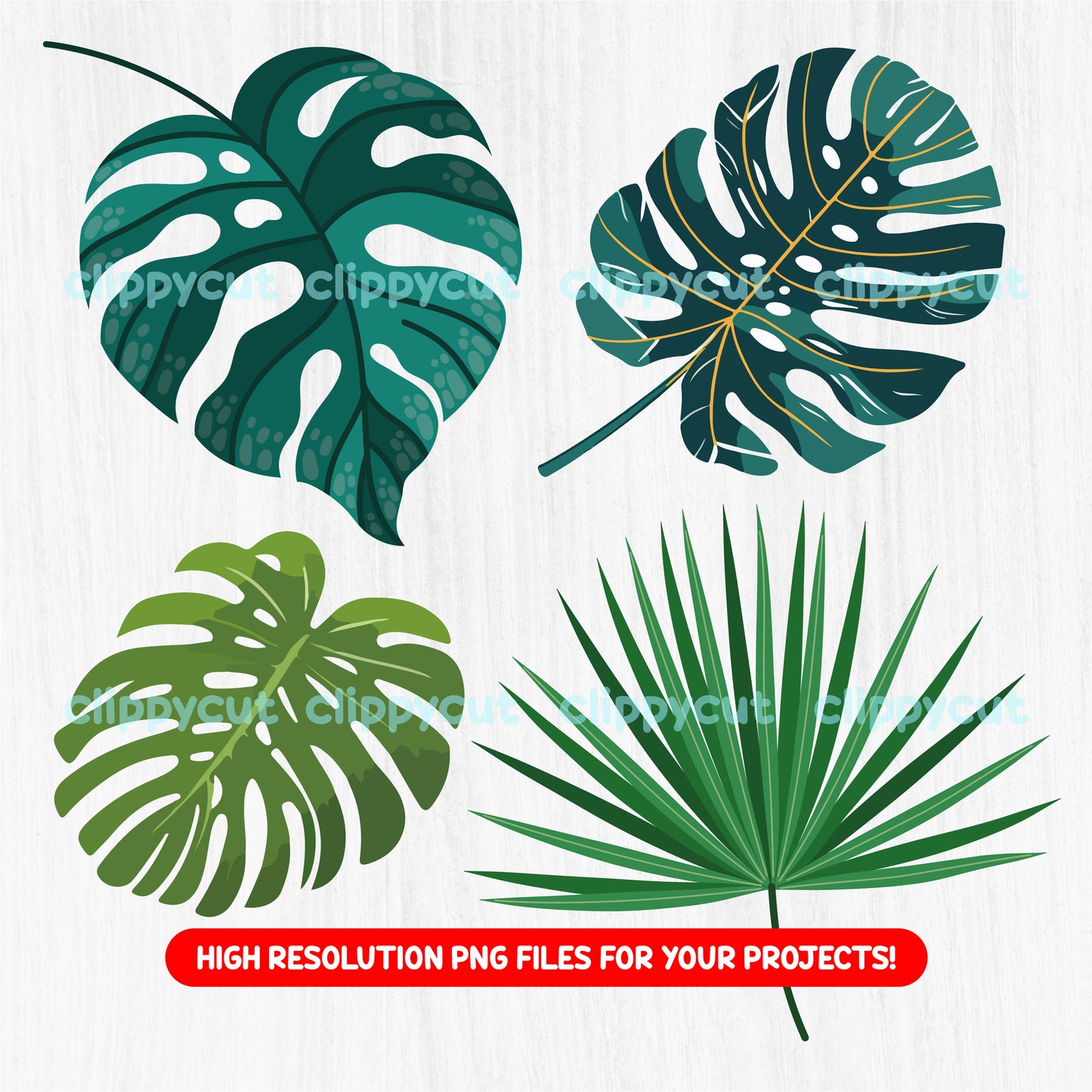 Tropical leaves clipart bundle with 62 unique high-resolution PNG designs, including monstera, palm, and banana leaves. Ideal for digital projects and tropical-themed designs.