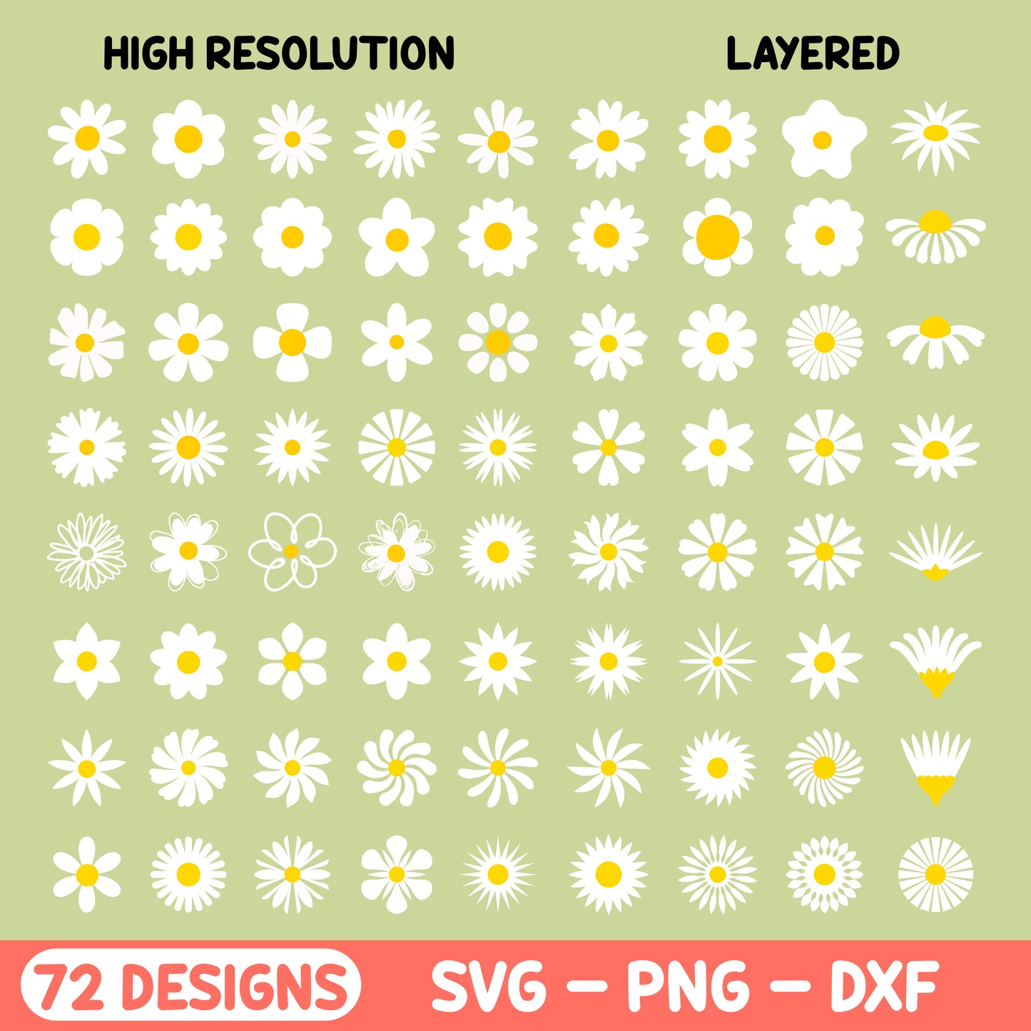 Daisy Clipart Bundle featuring 72 unique designs in high-resolution SVG, PNG, and DXF formats. Ideal for crafting, digital projects, and DIY decor.