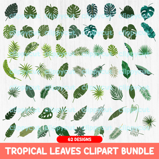 Tropical leaves clipart bundle with 62 unique high-resolution PNG designs, including monstera, palm, and banana leaves. Ideal for digital projects and tropical-themed designs.